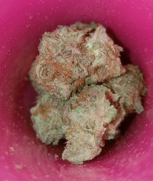 Pineapple Chunk Marijuana Strain Reviews AllBud