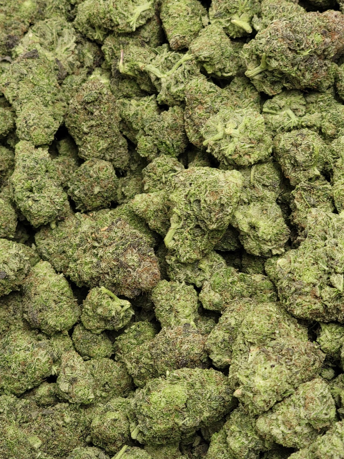 Pineapple DeVille Marijuana Strain Information & Reviews AllBud