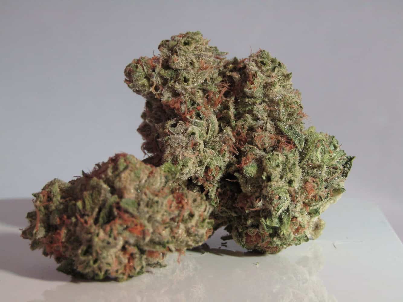 Pineapple Sorbet Marijuana Strain Information & Reviews AllBud