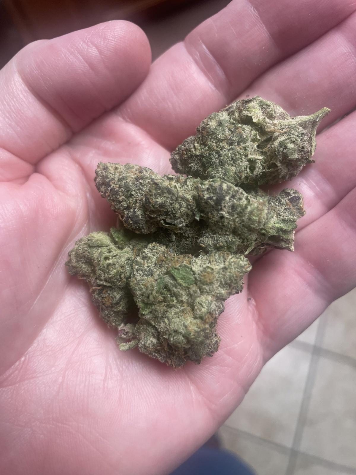 pink sunset Marijuana Strain Information & Reviews AllBud