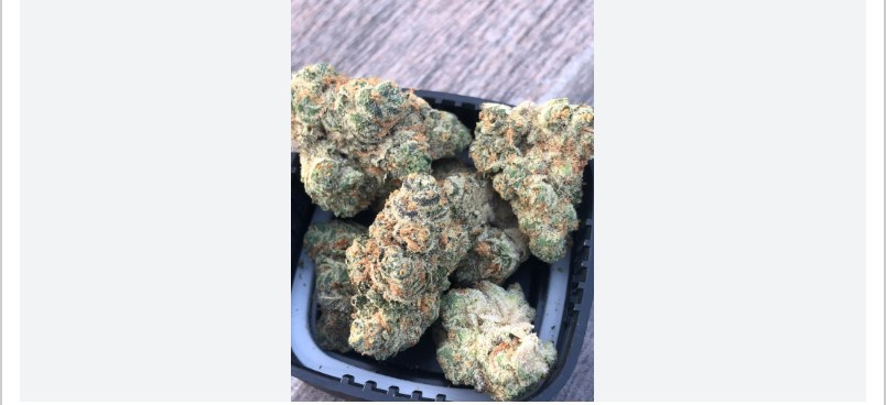 Platinum Garlic Cookies Marijuana Strain Information & Reviews | AllBud