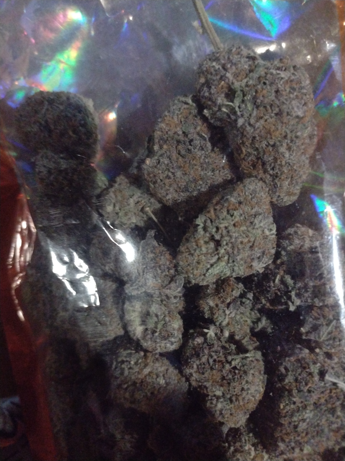 Kush Cookies Allbud 27 - hflpooz