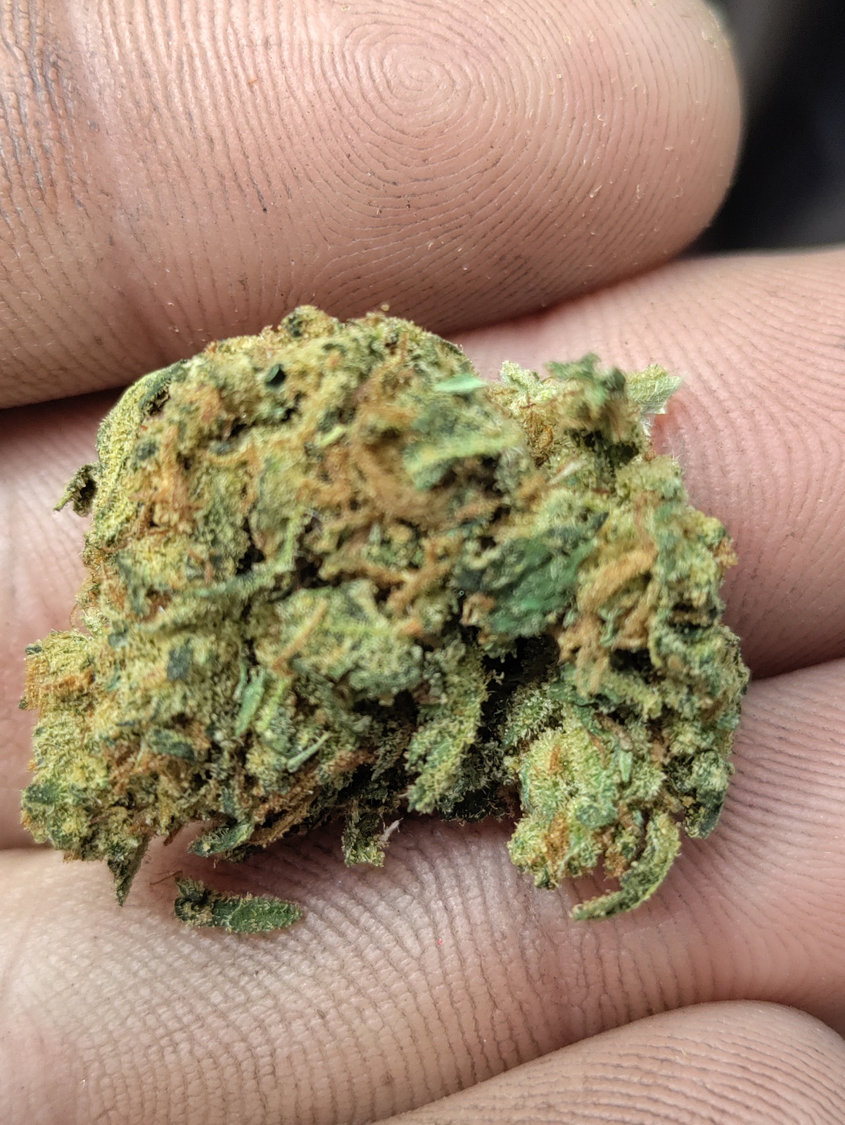 Poly Cookie Haze Marijuana Strain Information & Reviews AllBud