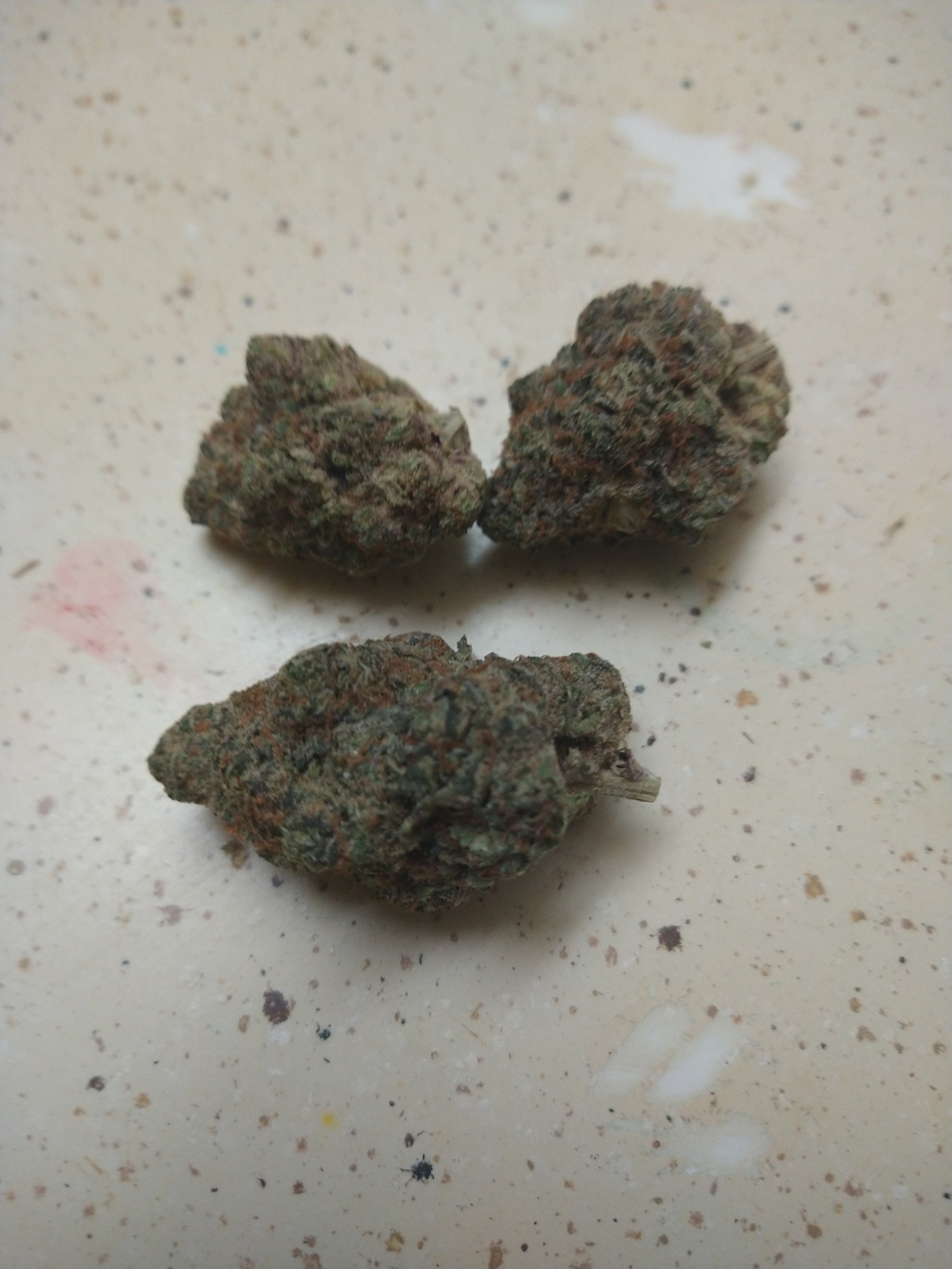 Presidential Runtz Strain Allbud - a2vihag