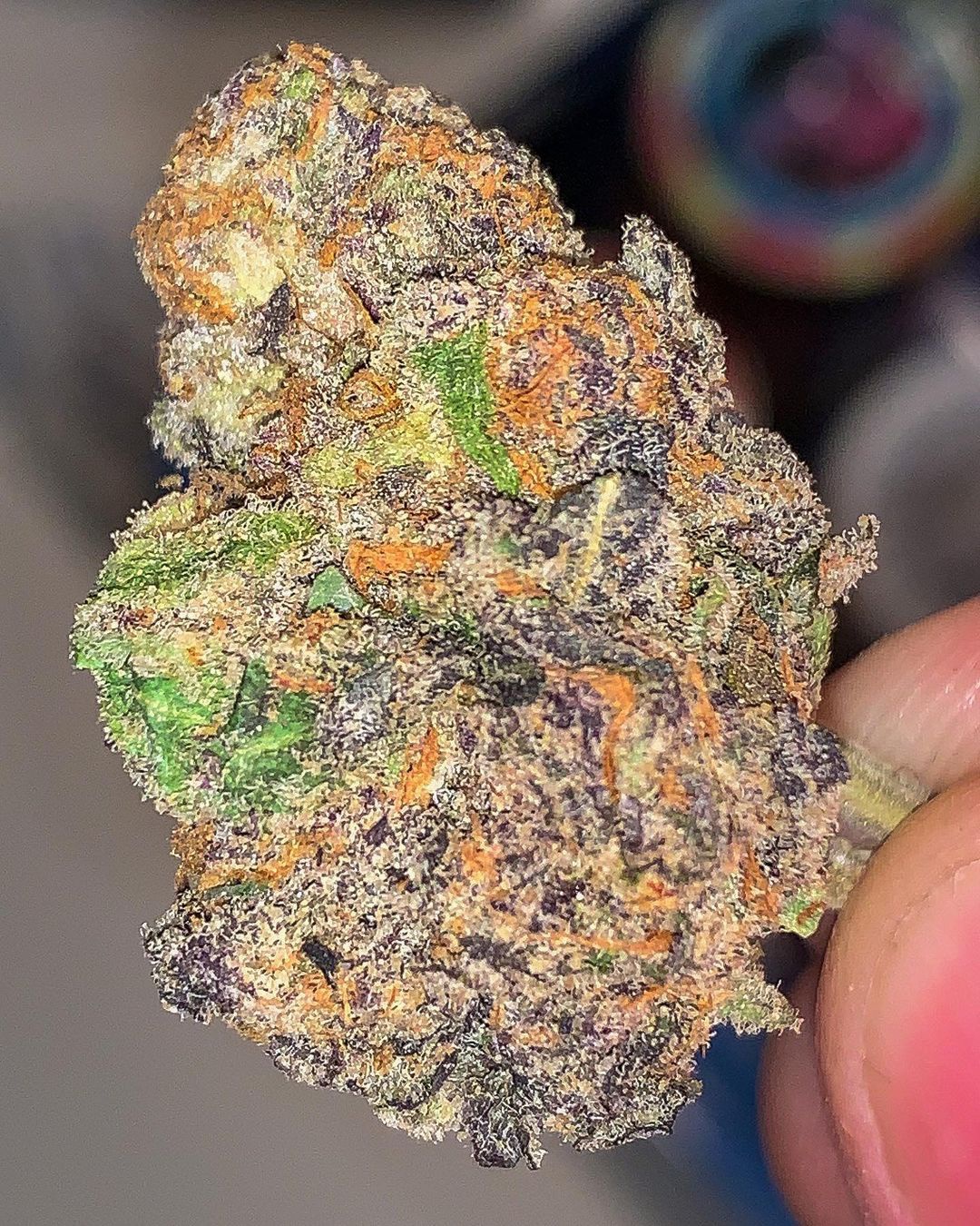 Powder Daze Marijuana Strain Information & Reviews | AllBud