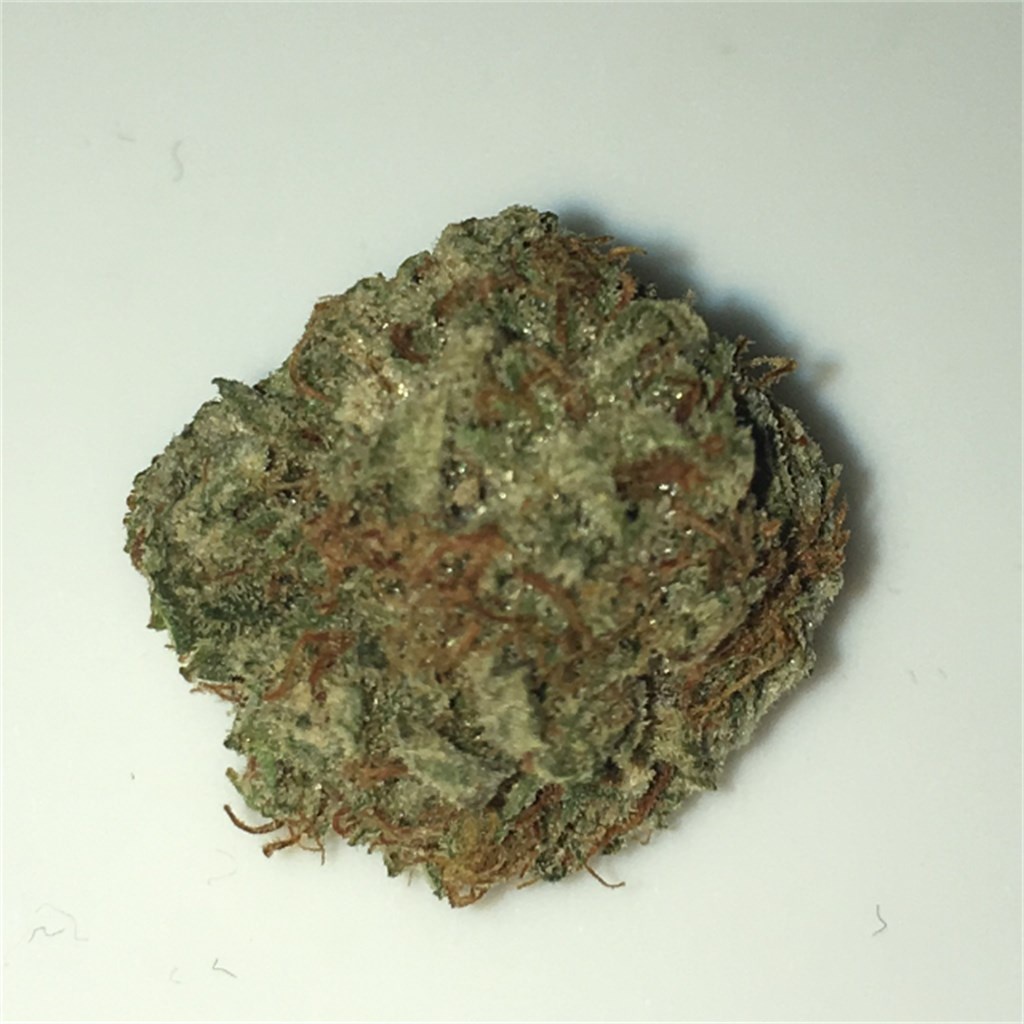 Power Plant Haze Marijuana Strain Information & Reviews | AllBud