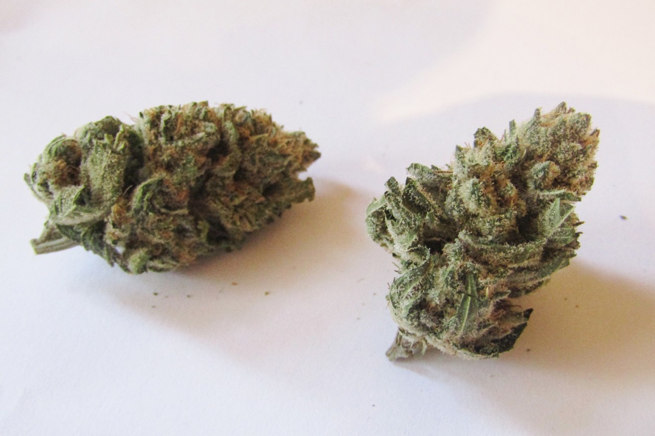 Private Banana Marijuana Strain Information & Reviews AllBud