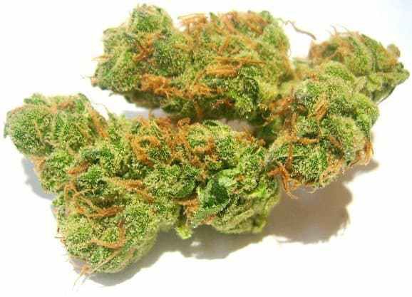 Puna Punch Marijuana Strain Information & Reviews | AllBud