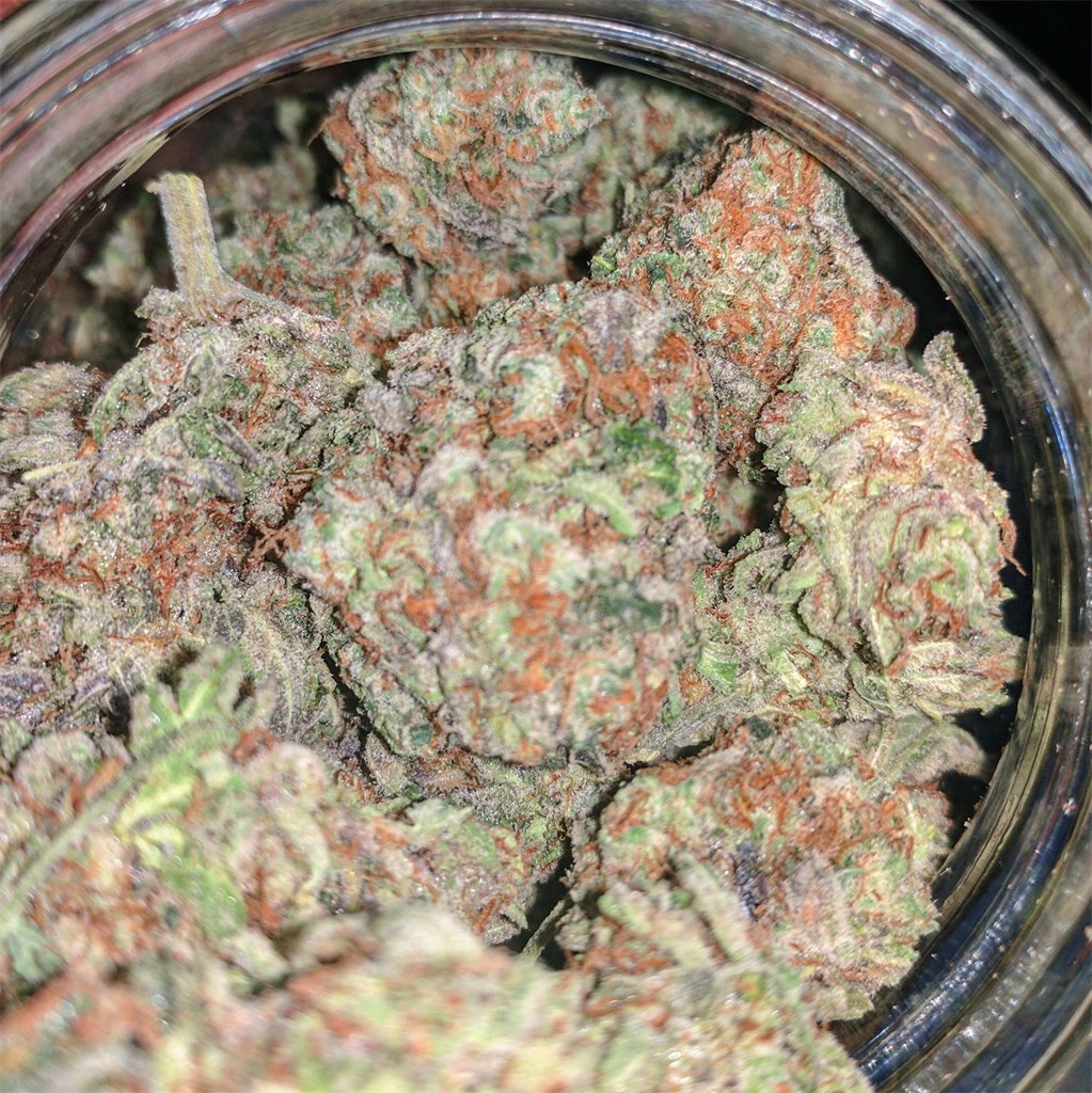 Purple Banana Cookies Marijuana Strain Information & Reviews AllBud