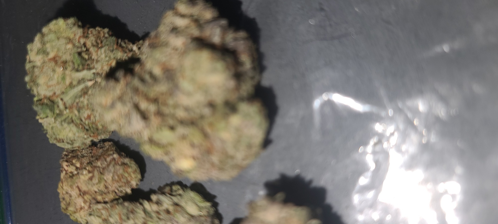Purple Bubblegum Marijuana Strain Information & Reviews AllBud