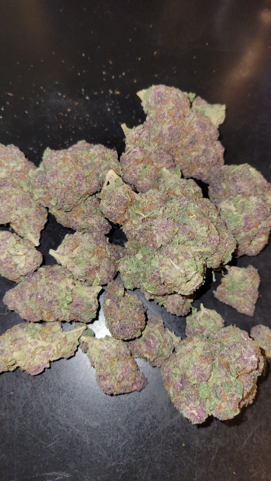 Purple Cherry