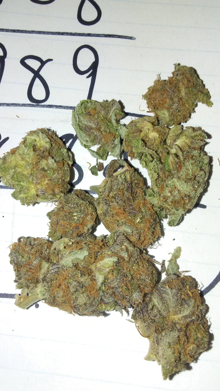 Purple Cotton Candy Marijuana Strain Information & Reviews AllBud