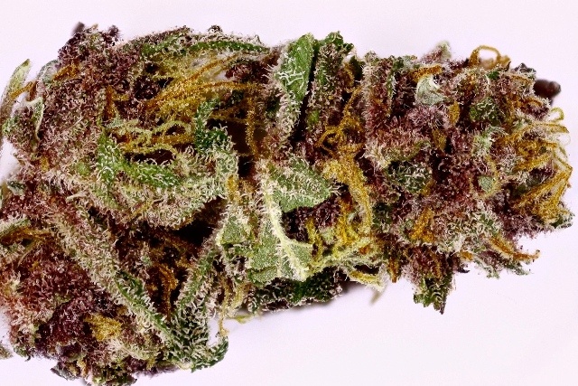Purple Cream Marijuana Strain Information & Reviews | AllBud