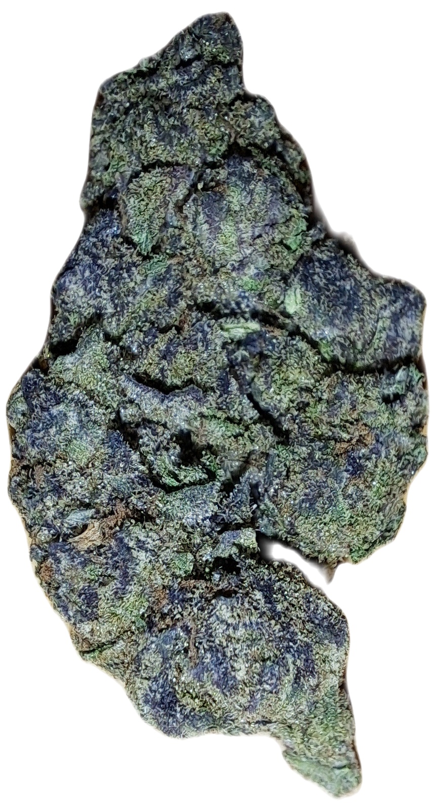 Purple Ice Cream Marijuana Strain Information & Reviews AllBud