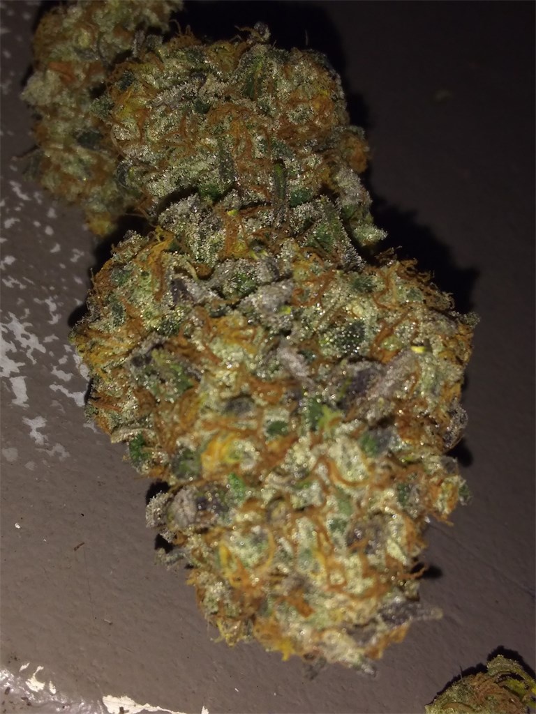 Purple Monkey Ghani Marijuana Strain Information & Reviews AllBud