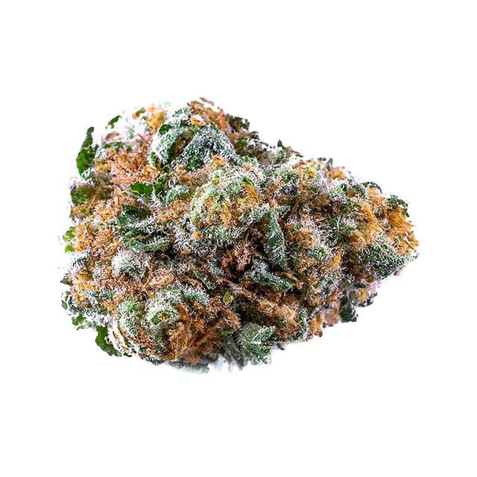 Allbud Com - pwpjryw