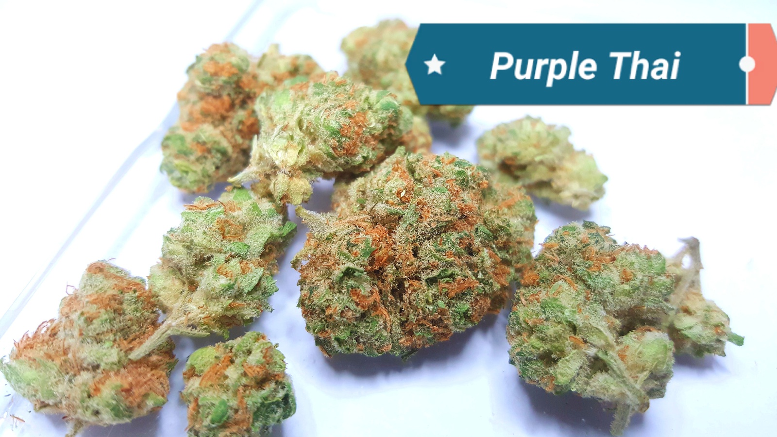 Purple Thai archive 0