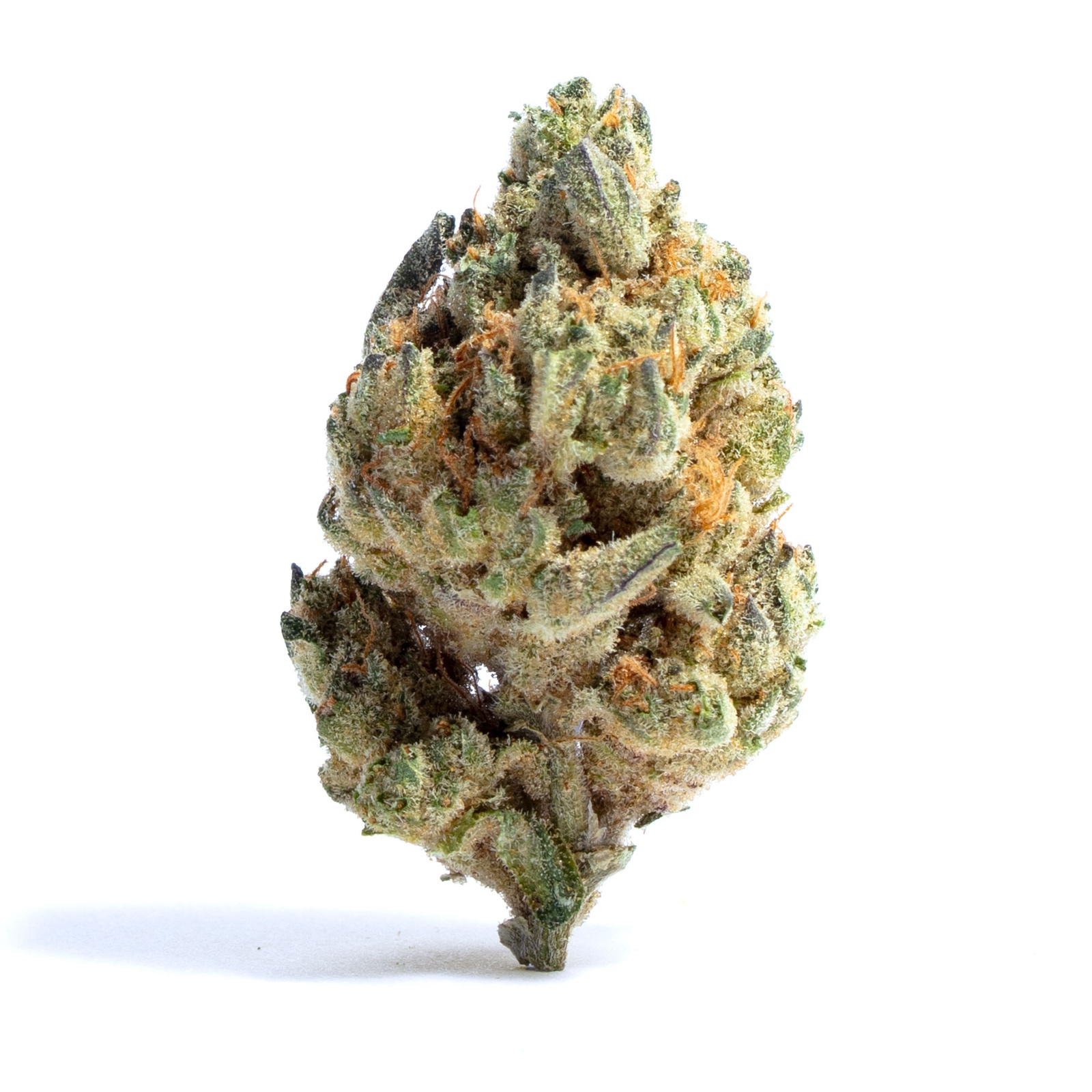 The Member Berry Strain: Aroma, Taste, & Potency (Allbud) - si30vor