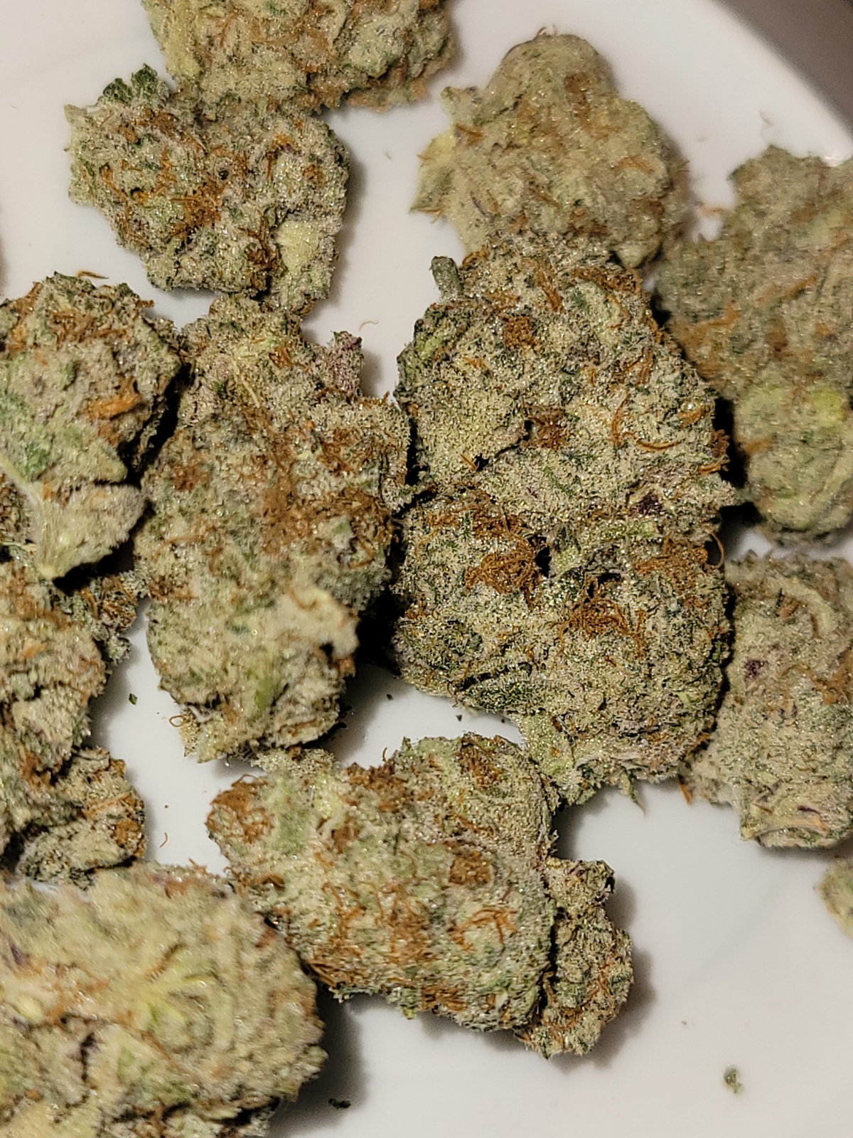 Princess Shaze Queen Haze Marijuana Strain Information & Reviews | AllBud
