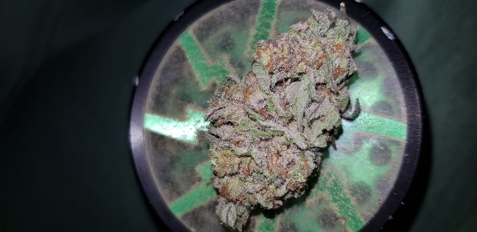 Rainbow Jones Marijuana Strain Information & Reviews AllBud
