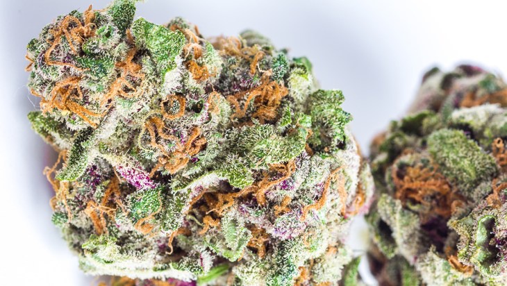 Raspberry Boogie archive 1