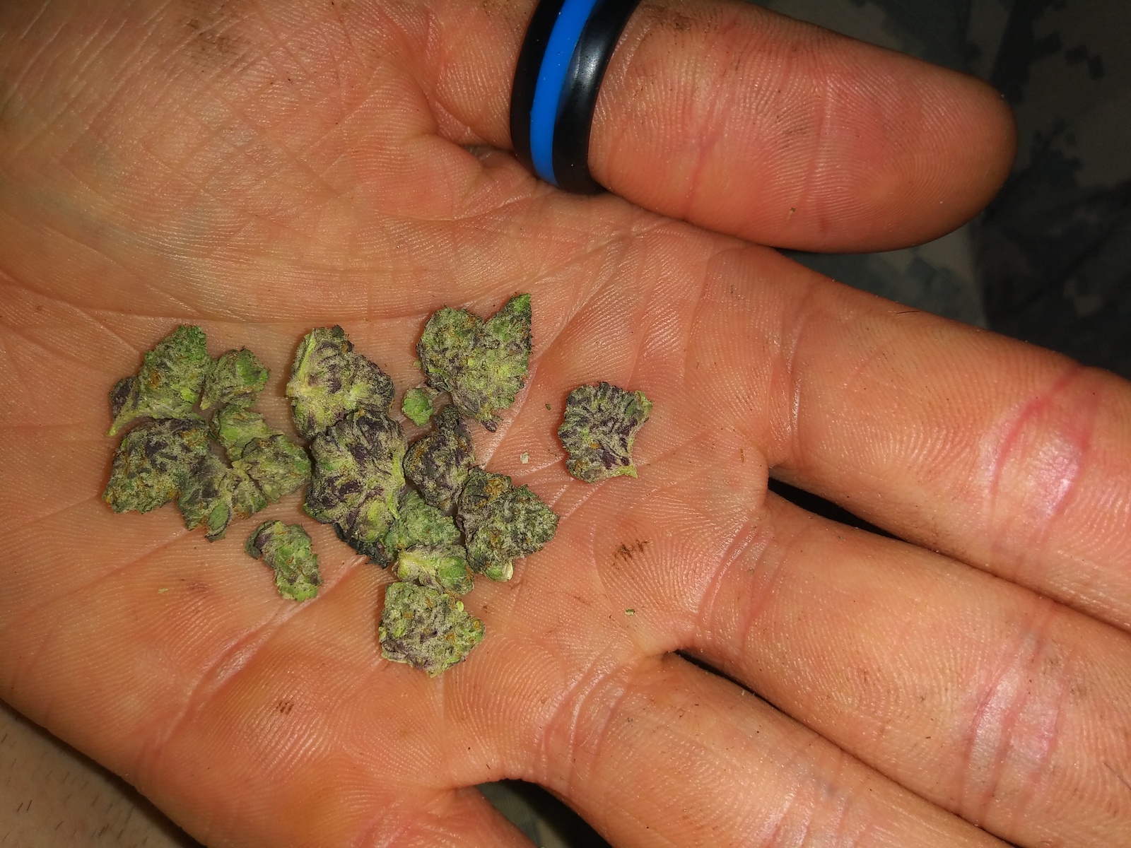 Raspberry Cookies Marijuana Strain Information & Reviews AllBud