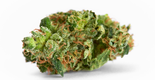 Raspberry Hashplant Marijuana Strain Information & Reviews | AllBud