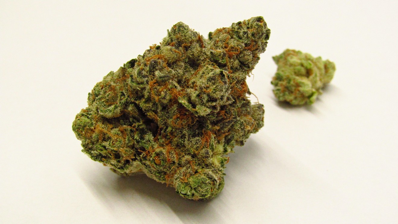 Red Line Haze Marijuana Strain Information & Reviews AllBud