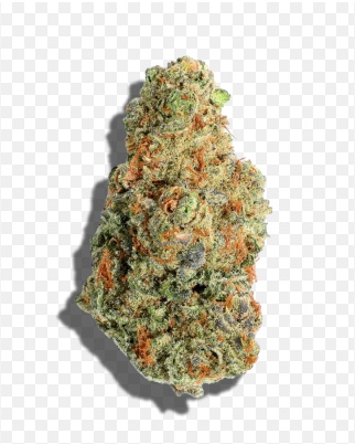 Ashwagandha Gummies For Stress Anxiety Better Sleep Ashwagandha Cortisol