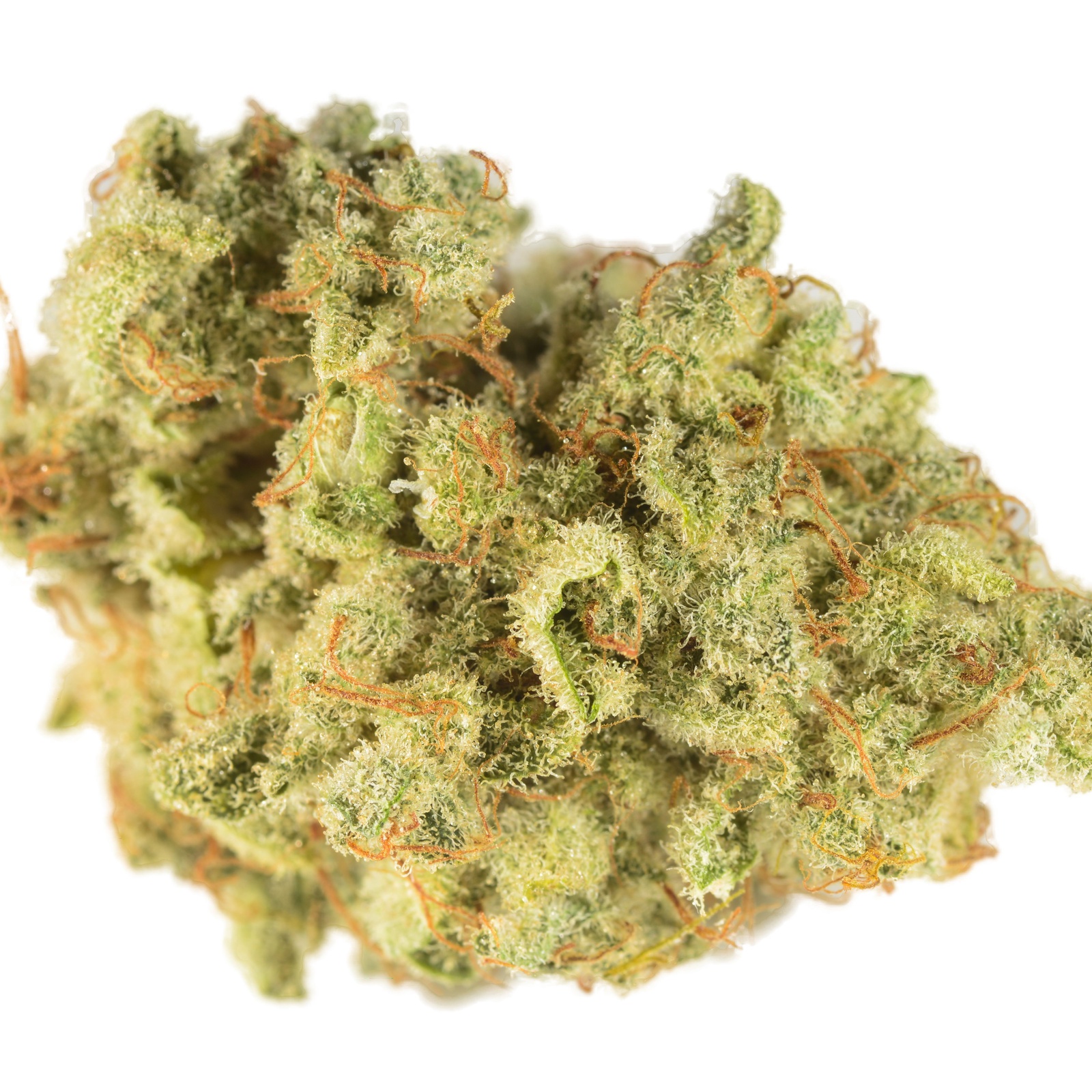 Road Trip Marijuana Strain Information & Reviews AllBud