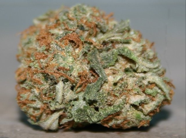 Rockstar Marijuana Strain Information & Reviews | AllBud
