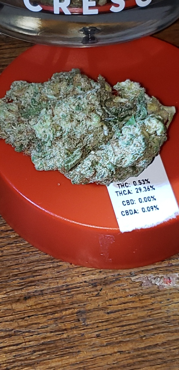 Rollins Marijuana Strain Information & Reviews AllBud