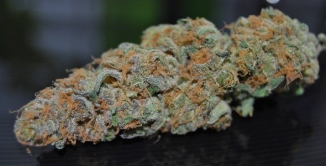 Romulan Cotton Candy | Marijuana Strain Reviews | AllBud