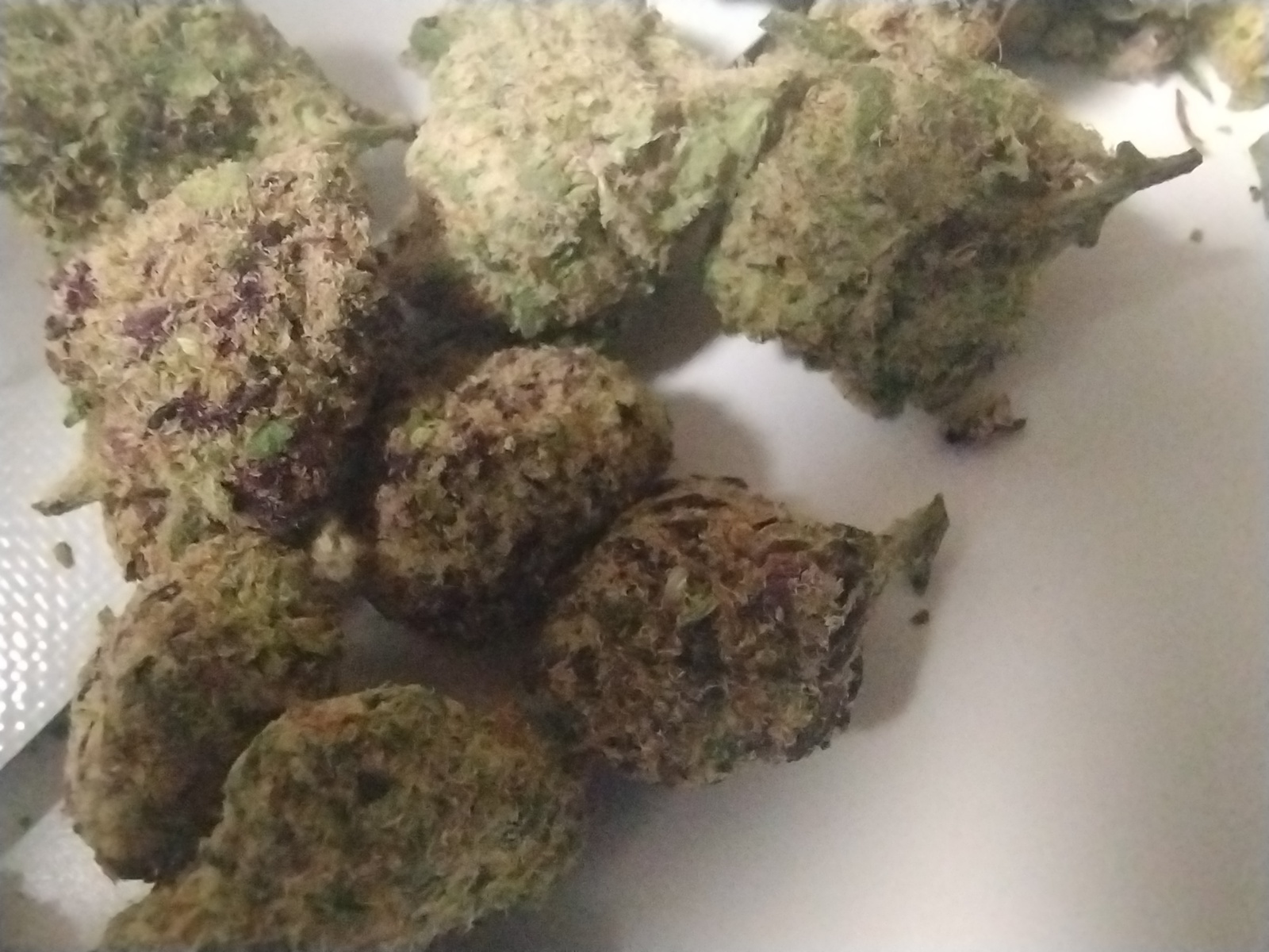 Rose Gold Runtz Marijuana Strain Information & Reviews AllBud