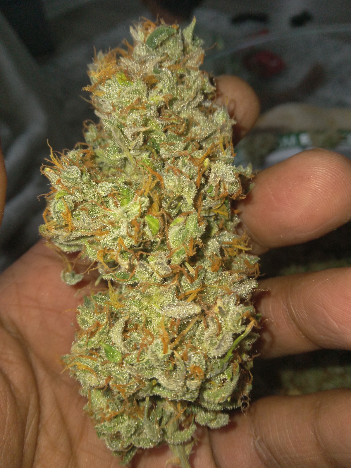 Royal Cheese harvested flower, as labeled by the cited photo source
