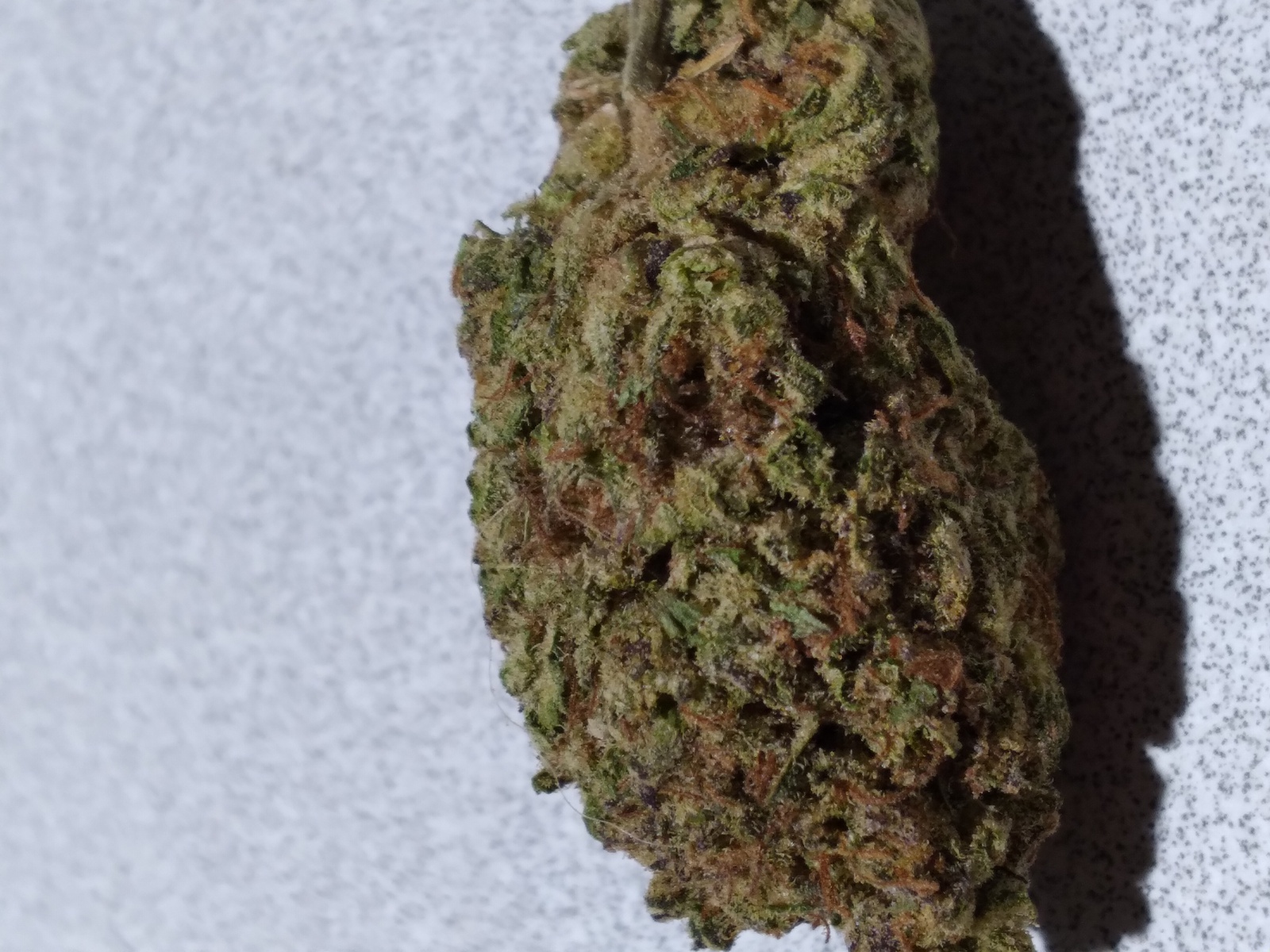 Rug Burn OG Marijuana Strain Information & Reviews AllBud