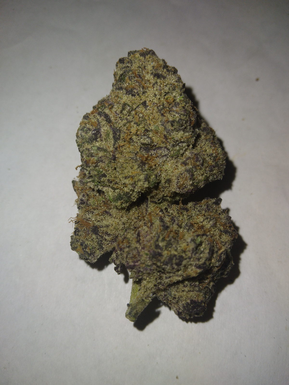Russian Crème Marijuana Strain Information & Reviews AllBud