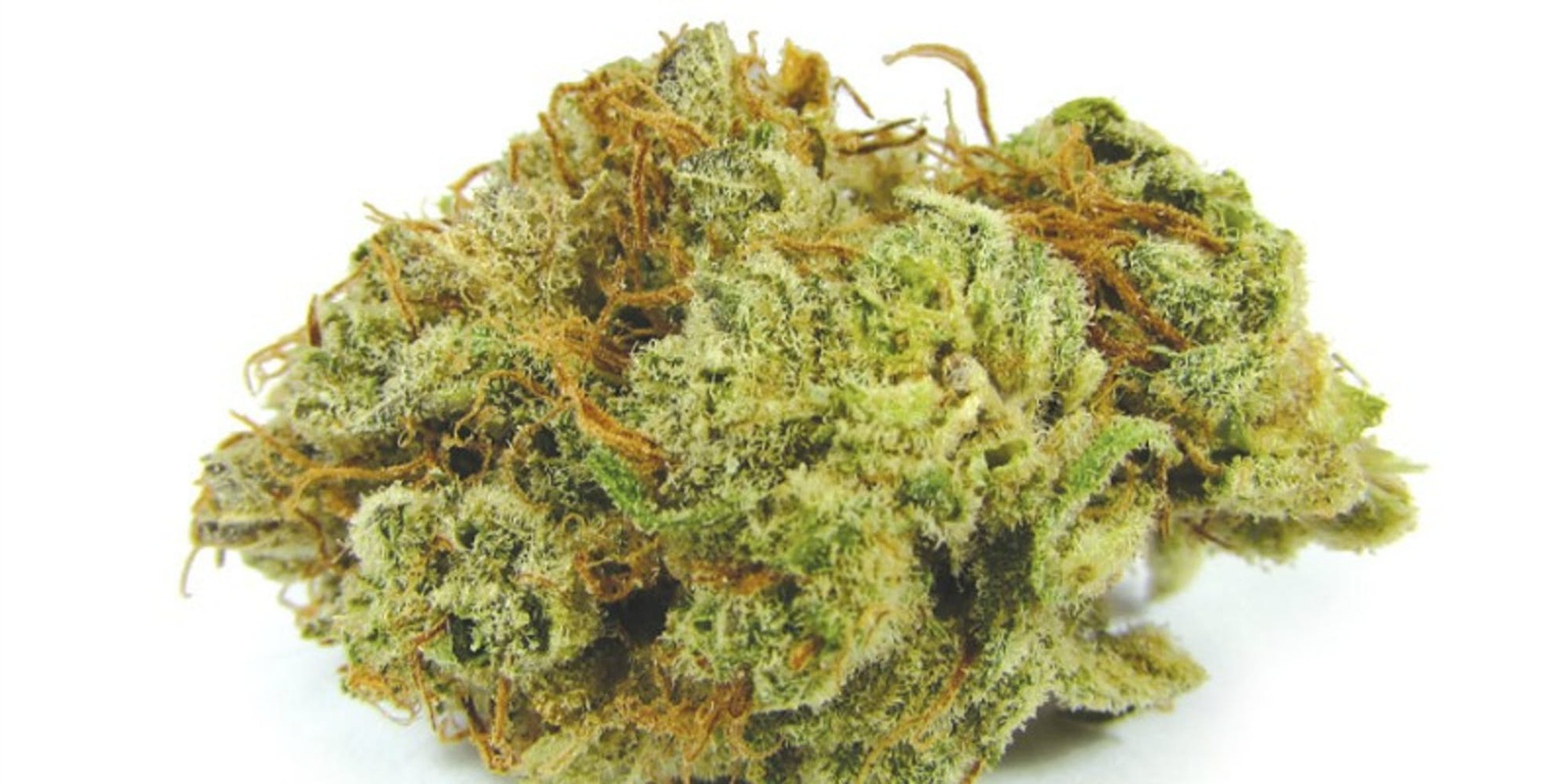 Ryan's Revenge Marijuana Strain Information & Reviews | AllBud