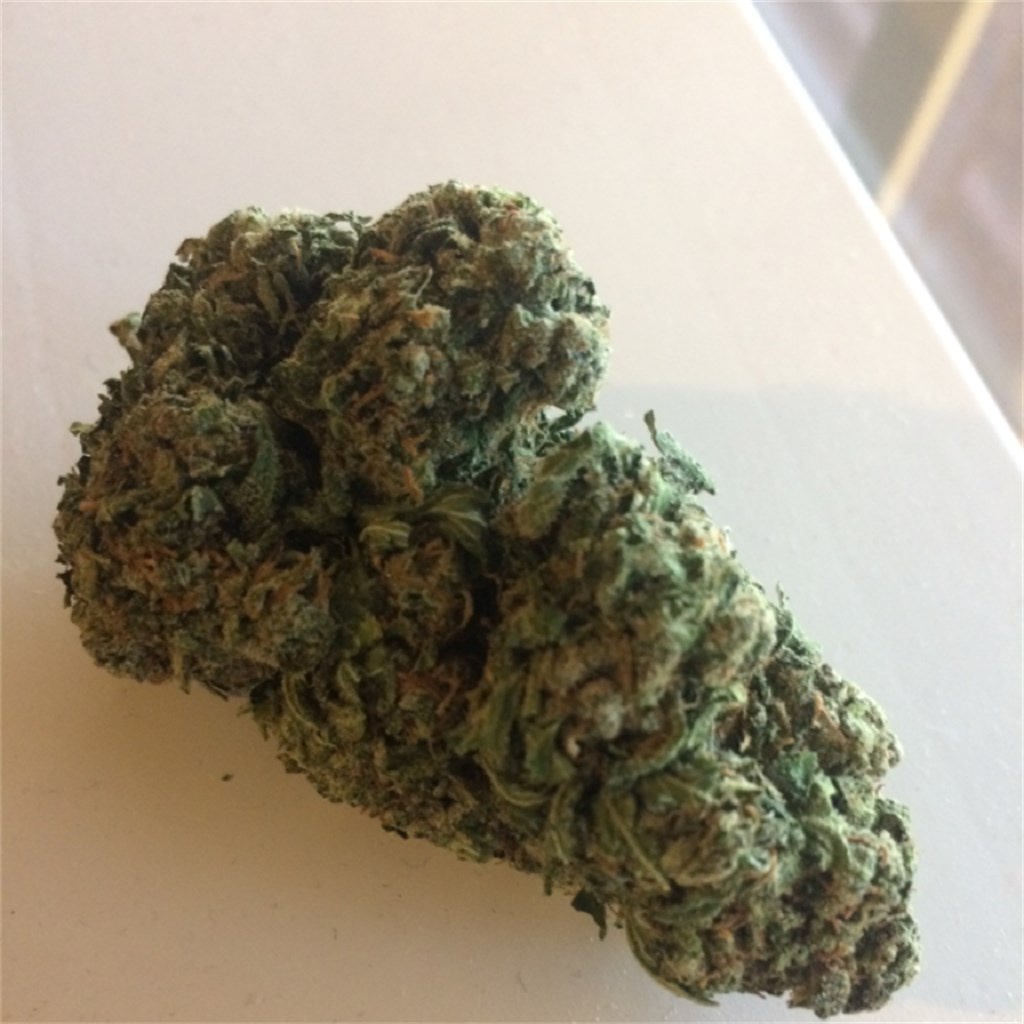 Salmon Creek Marijuana Strain Information & Reviews AllBud