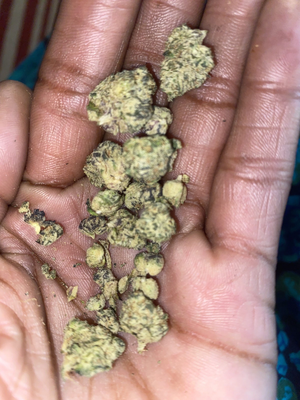 San Fernando Lemon Kush Marijuana Strain Information & Reviews AllBud