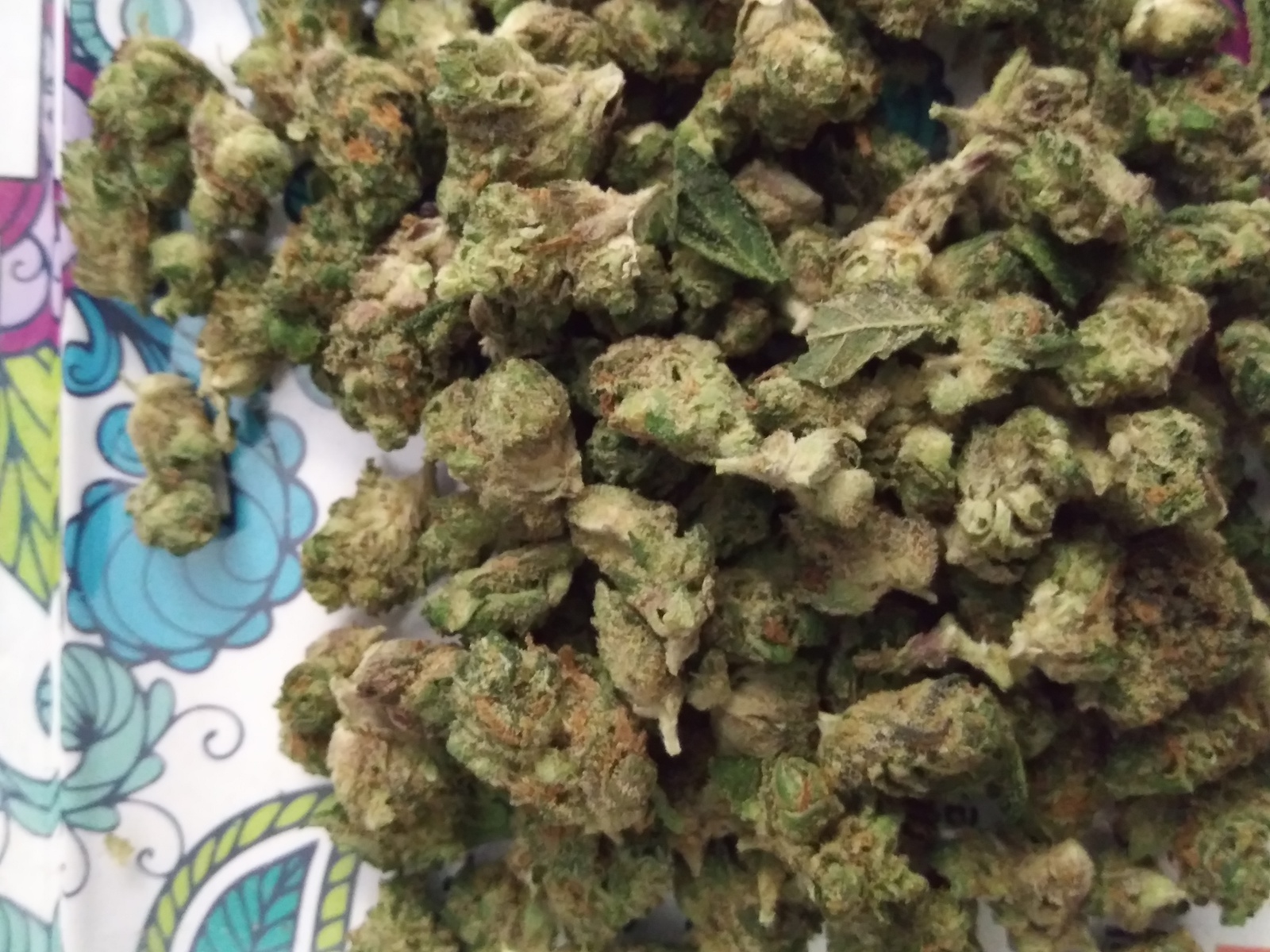 The Sauce Marijuana Strain Information & Reviews AllBud