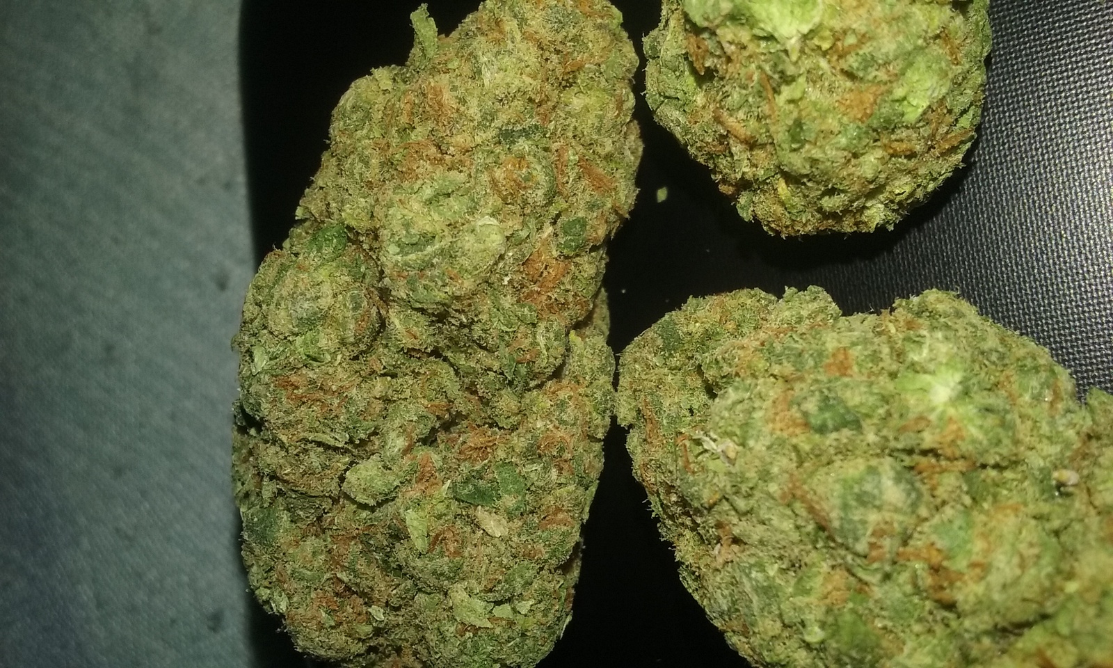 Silver Jack Marijuana Strain Information & Reviews AllBud