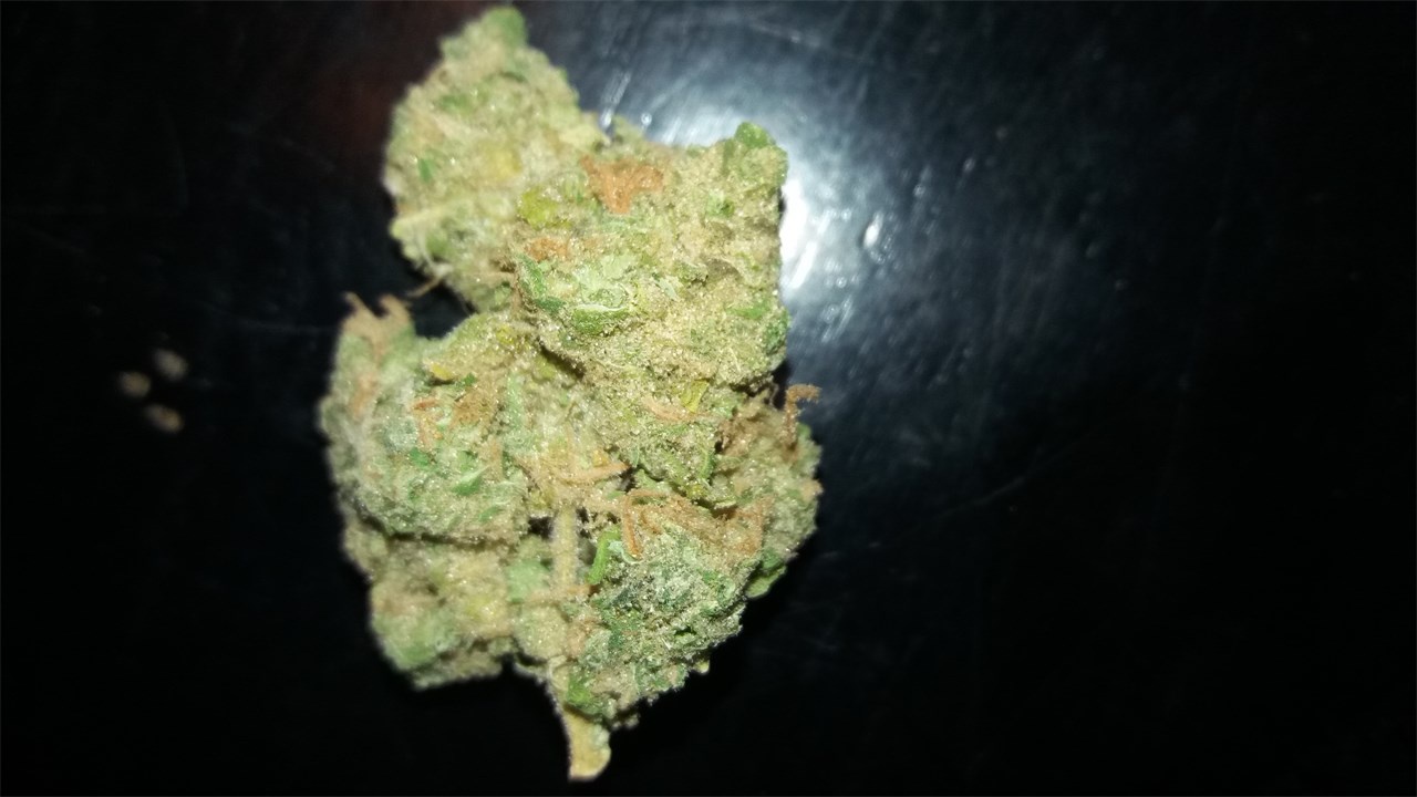 skunk dawg Marijuana Strain Information & Reviews | AllBud