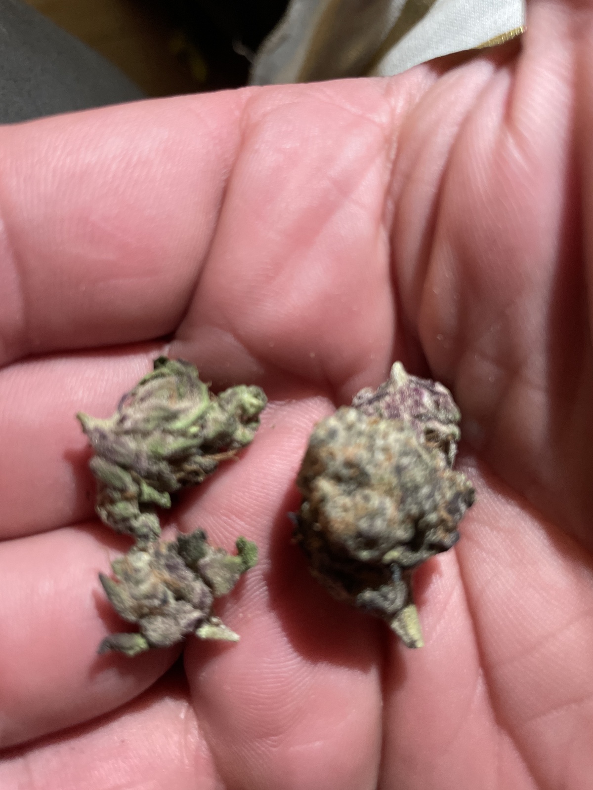 Sorbet Marijuana Strain Information & Reviews AllBud