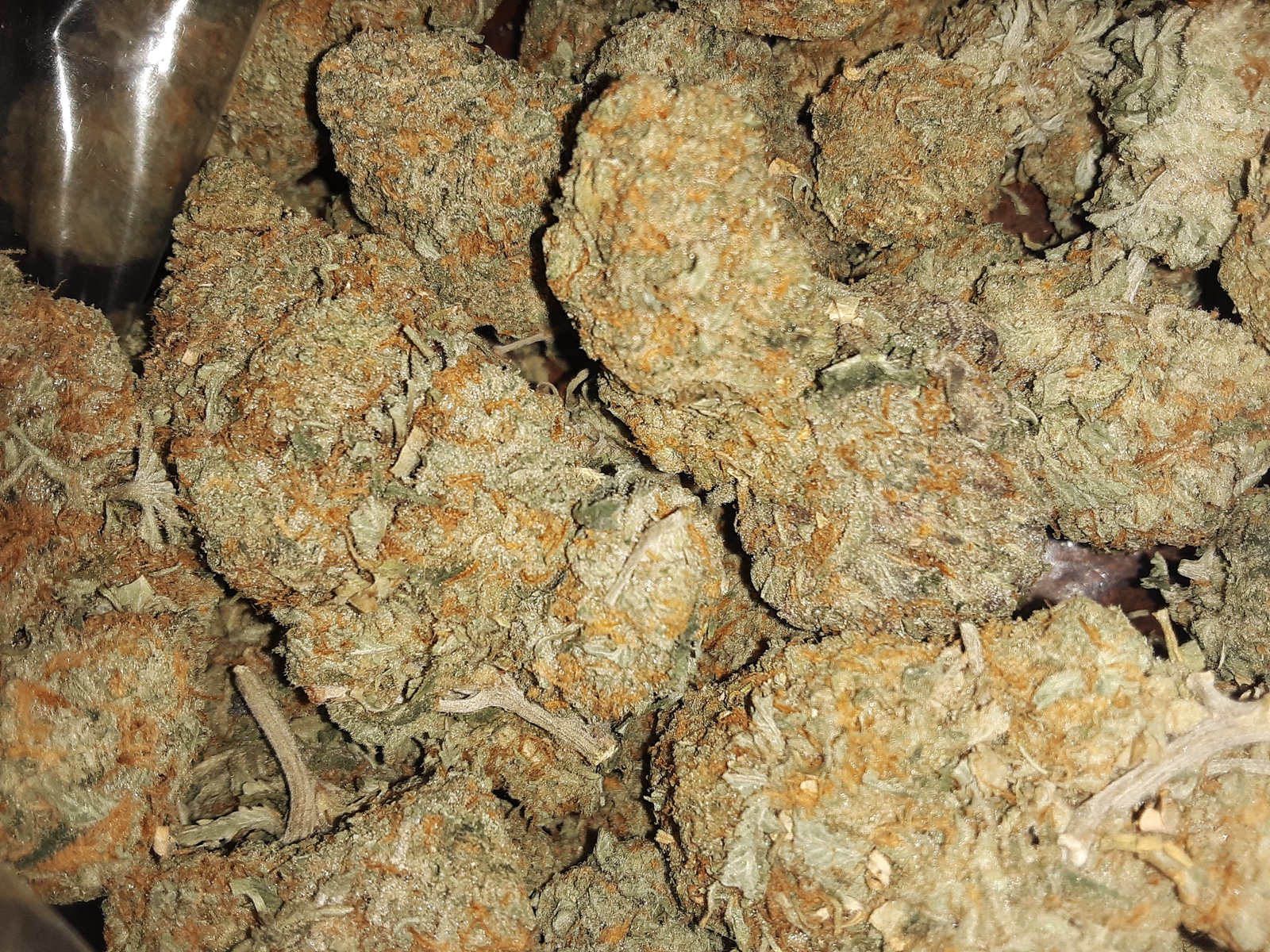 Sorcerer’s Apprentice Marijuana Strain Information & Reviews AllBud