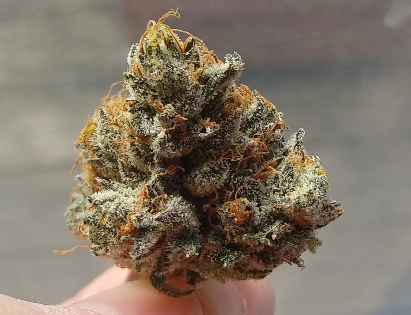 Sour Banana Larry Marijuana Strain Information & Reviews AllBud