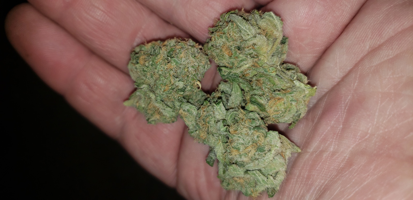 Sour Banana Marijuana Strain Information & Reviews AllBud