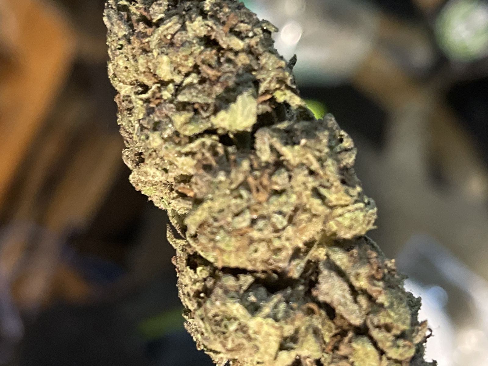 Sour Cherry Sherbet Marijuana Strain Information & Reviews AllBud