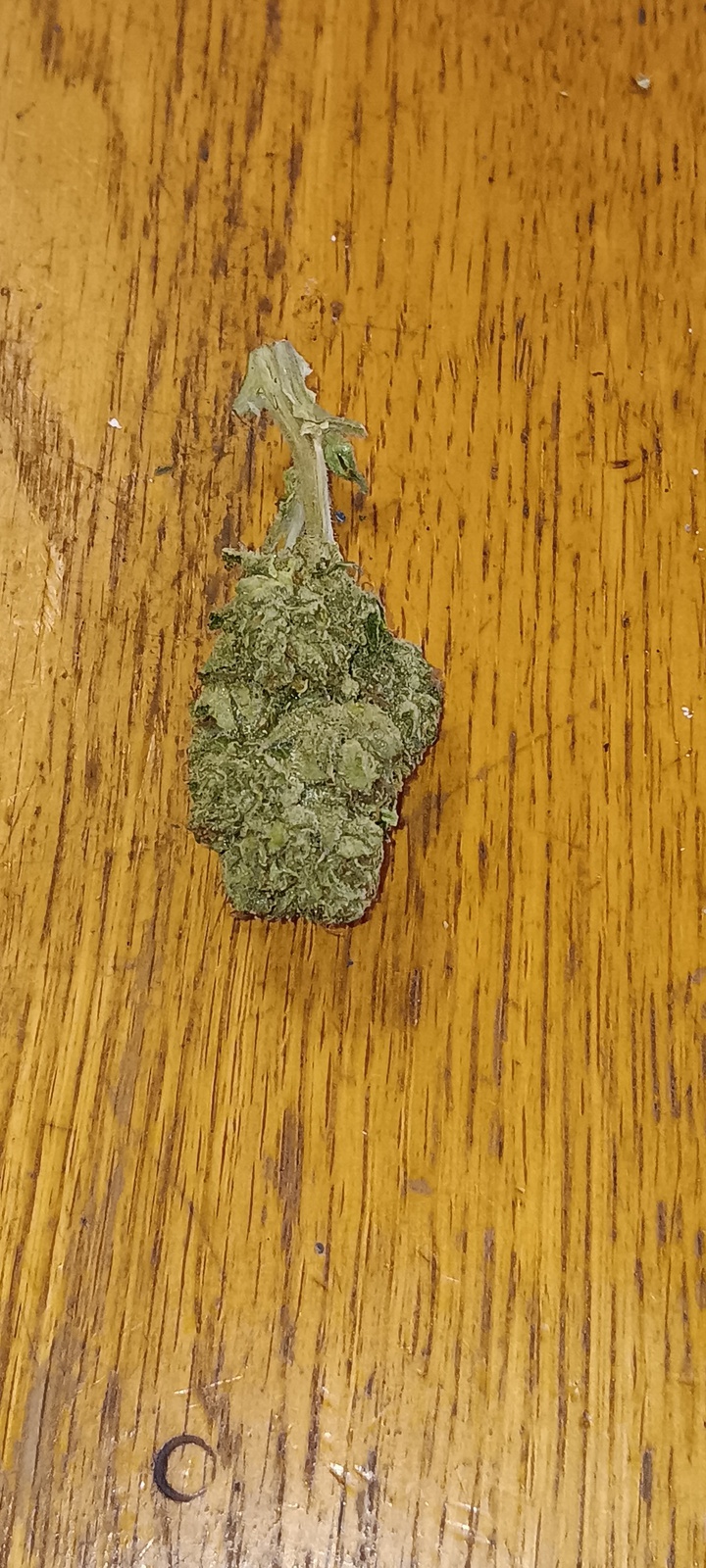 Sour Gorilla Marijuana Strain Information & Reviews AllBud