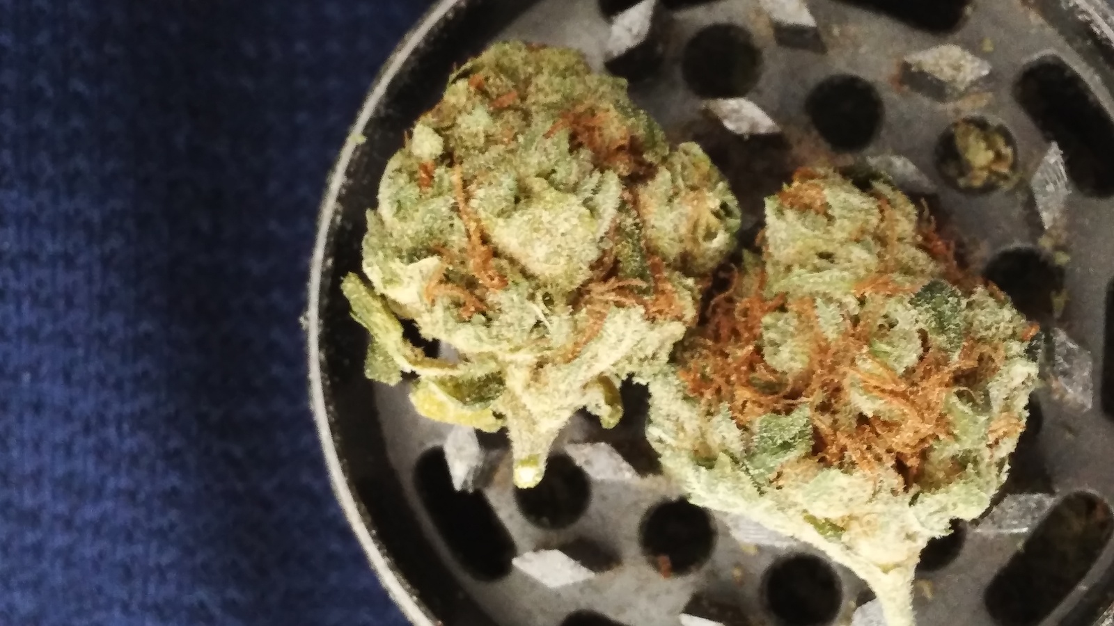 Sour Pez Marijuana Strain Information & Reviews AllBud